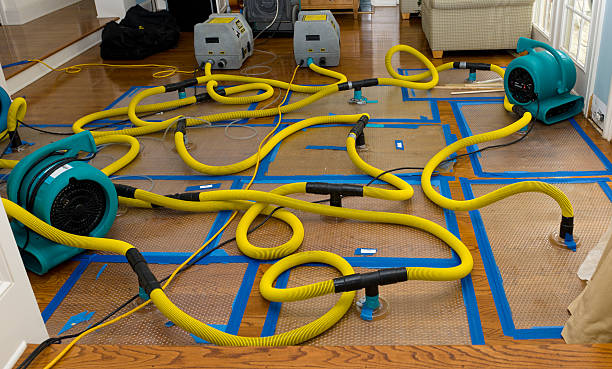Professional Structural Drying And Dehumidification technician working in Richland, MI