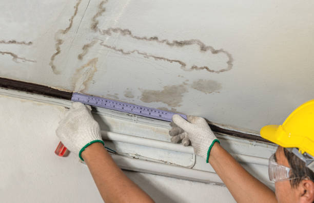 Affordable Water Damage Repair solutions in Richland, MI
